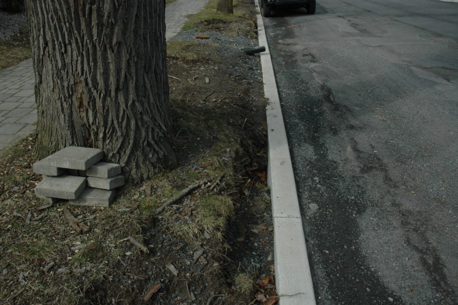 Street Trees