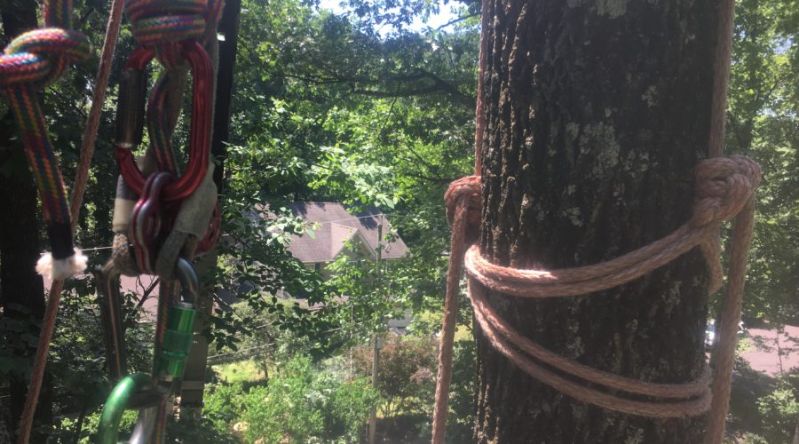 Balance and Biomechanics: Thoughts From the Field